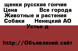 щенки русские гончие › Цена ­ 4 000 - Все города Животные и растения » Собаки   . Ненецкий АО,Устье д.